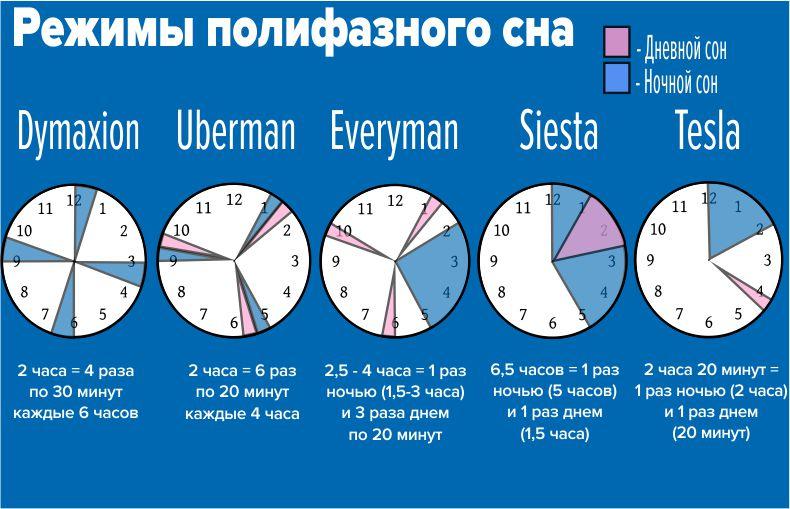Режимы полифазного сна Режимы полифазного сна